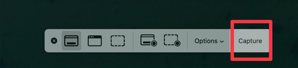 Screenshot Utility Capture Entire Screen